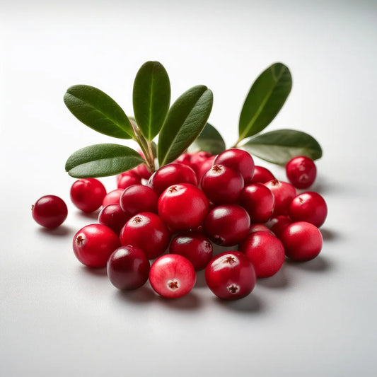 20 x Cranberry Protein Bar 40g