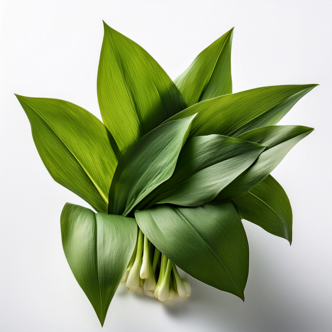 10 x 250g SEEDFUL Slices with Wild Garlic ( 4 Slices Each Pack )