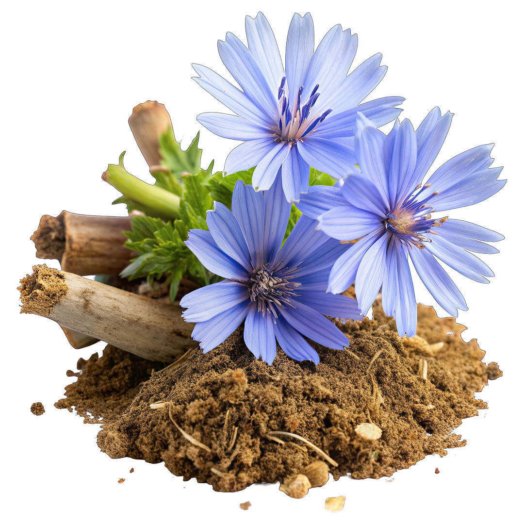 1 x 250g The Heart of Nature Prebiotic Slices with Cranberries ( 4 Slices )